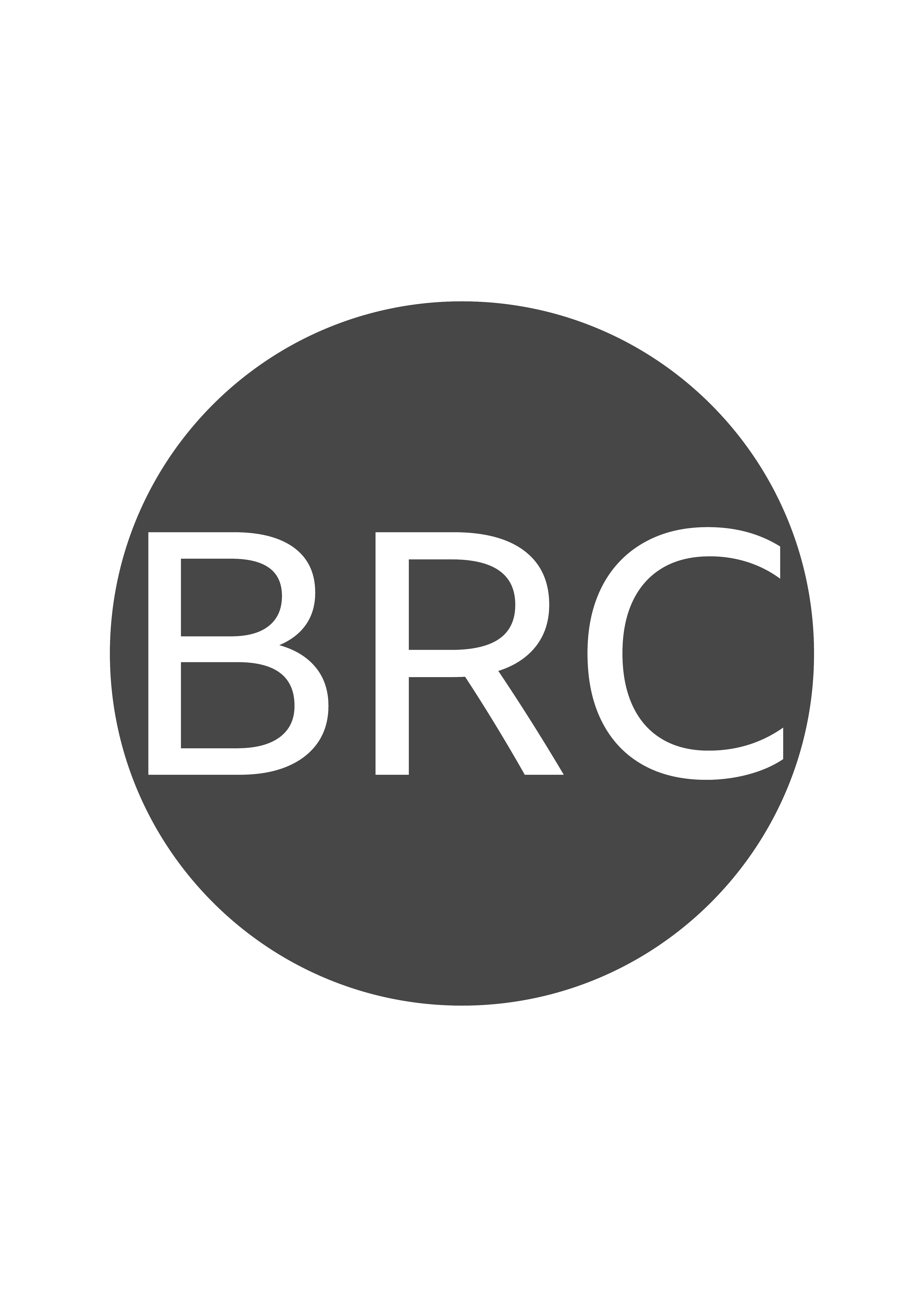 brc.studio.art